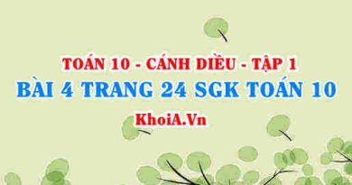 Bài 4 trang 24 SGK Toán 10 tập 1 Cánh Diều